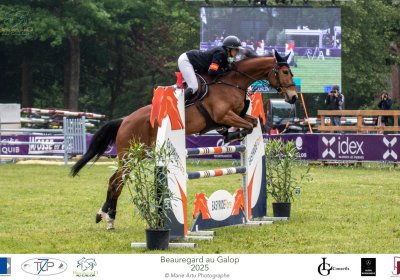  Grand Prix 115