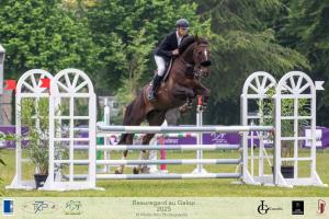 1-PREPA115-BAG-2025-178