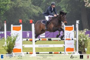 10-GP105-BAG-2025-037