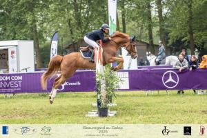 10-GP105-BAG-2025-104